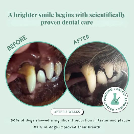 Petfect - Dental Powder For Dogs